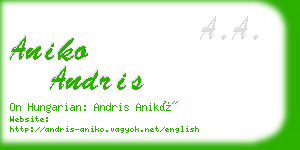 aniko andris business card